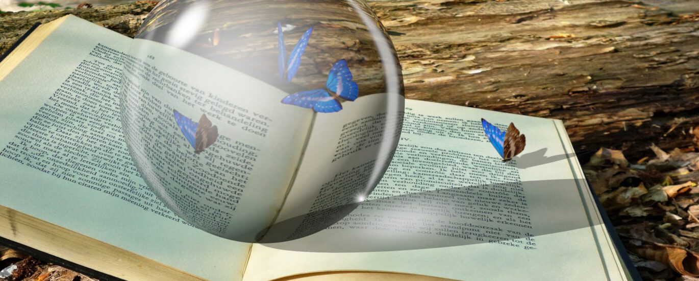 Besondere Fähigkeiten durch Lesen